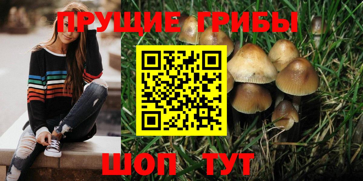 Галлюциногенные грибы мухоморы Ярославль